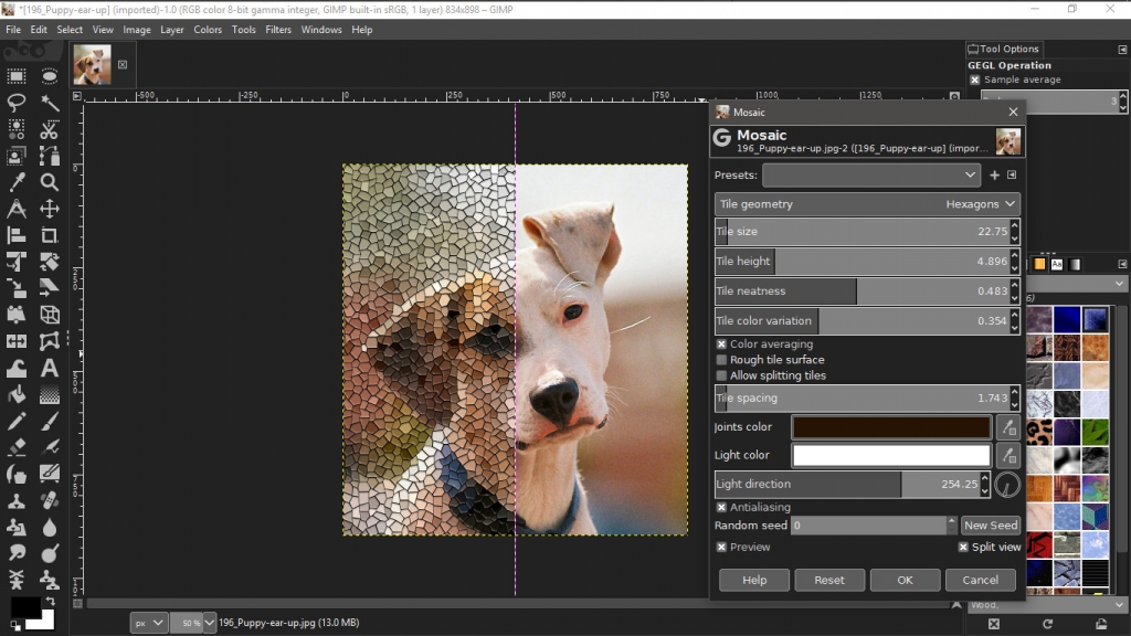 GIMP screen shot with mosaic effect